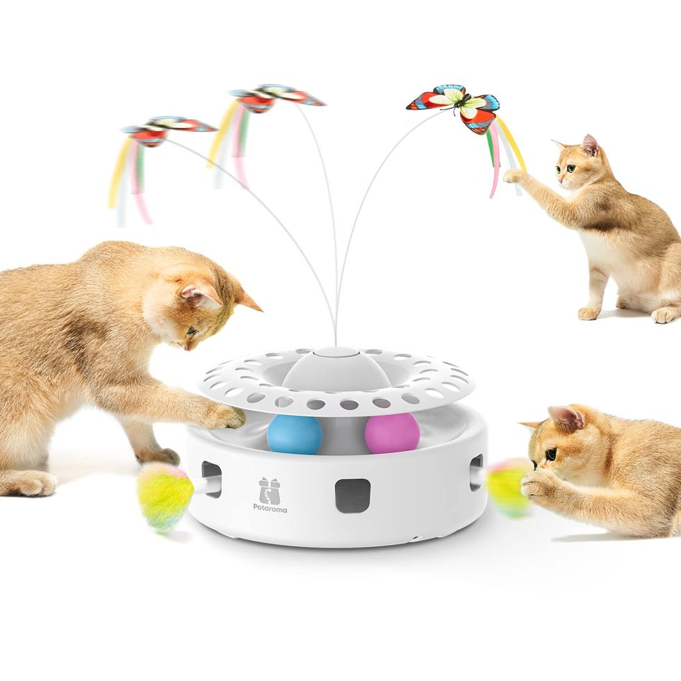 3-in-1 Automatic Interactive Kitten Toy