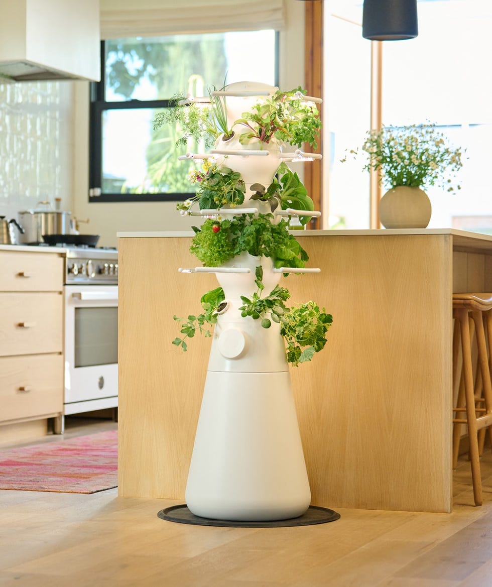 The 3 Best Indoor Herb Garden of 2024, Tested & Reviewed