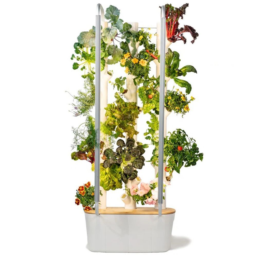 Best indoor herb garden with deals light