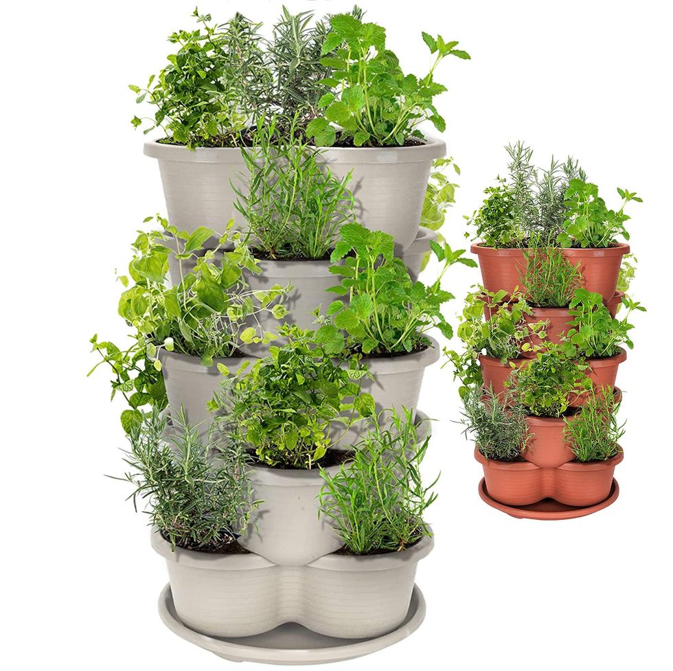 Green Cleaner  Discount Indoor Gardening