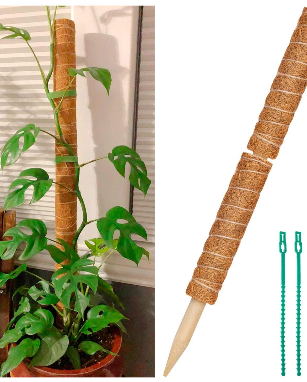 Moss Poles for Climbing Plants, 2 Pcs 12'' Coir Pole (Total 20'') with 4 Pcs Adjustable Plant Ties for Creepers Plant Support Extension, Climbing Plants Support Indoor