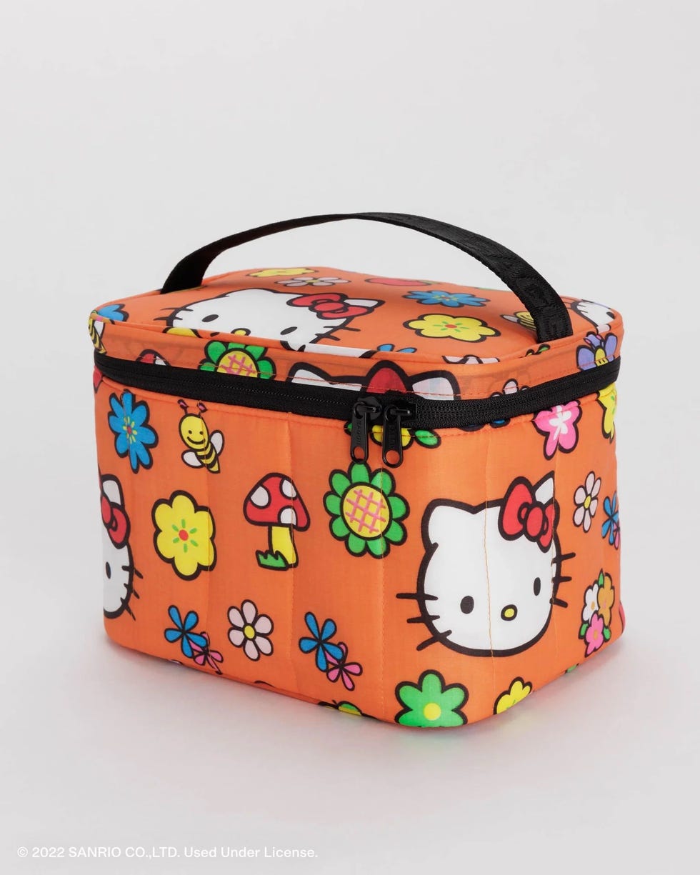 32 Cute Lunch Boxes – Best Lunch Boxes for Teens