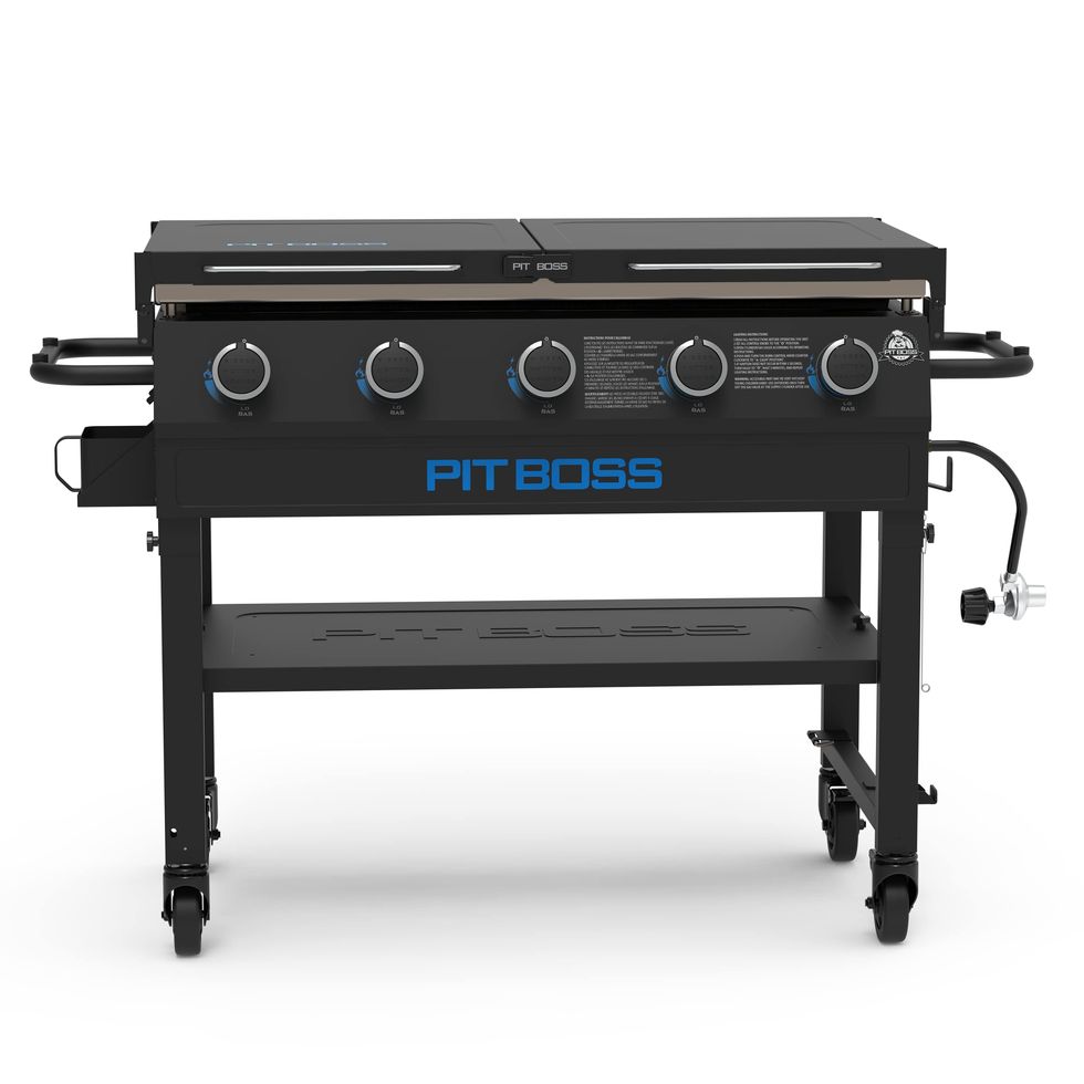 8 Best Outdoor Griddles Of 2024, Tested & Reviewed