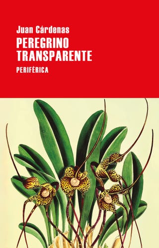 'Peregrino transparente' de Juan Cárdenas
