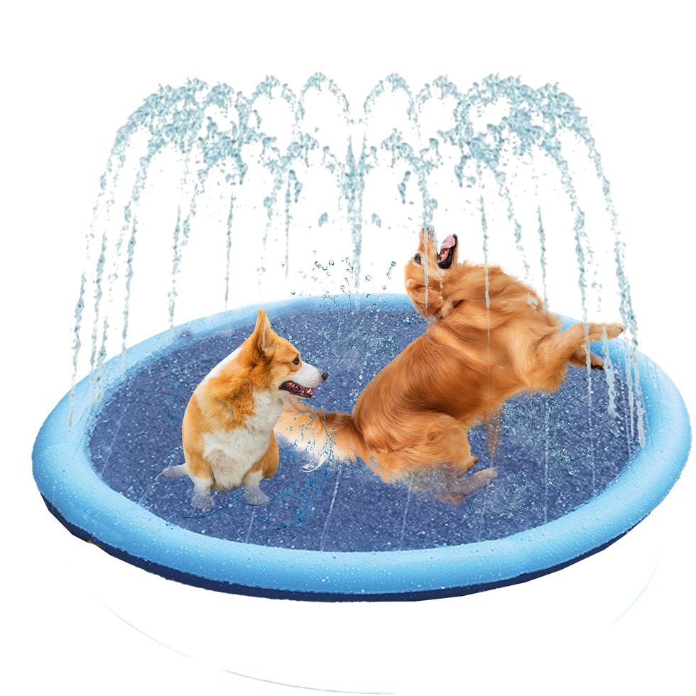 Paddling Pool for Pets,Dog Pool for Dogs,Foldable Sprinkle and Splash Water Play Mat,Dogs Paddling Pool Summer Toys Spray Pad,Garden Outdoor Portable Sprinkler Play Mat Outside (100cm)