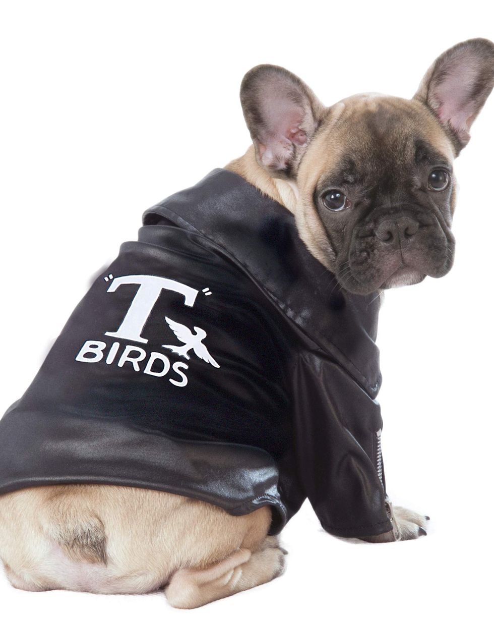 Pet T-Birds Jacket