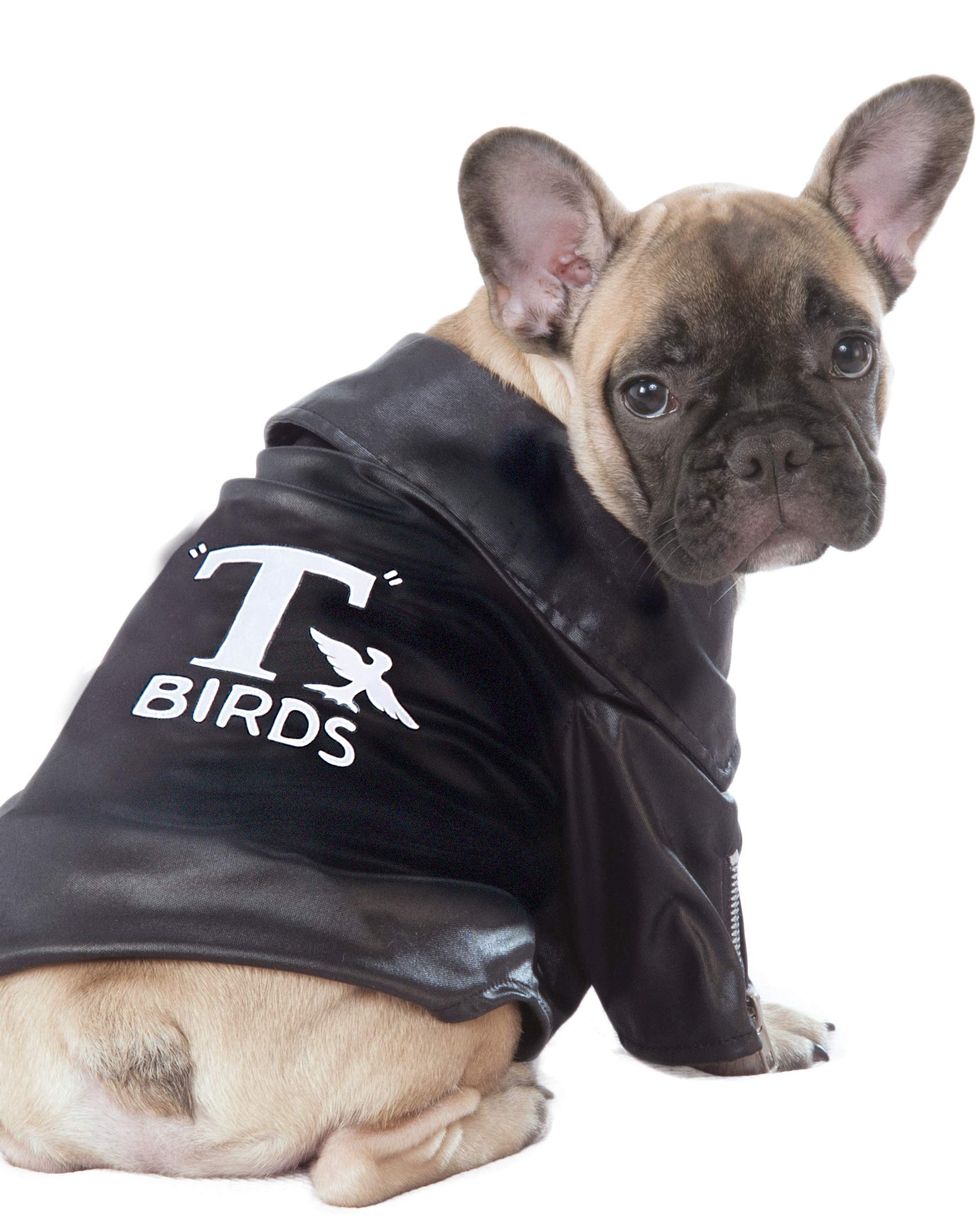 Pet T-Birds Jacket