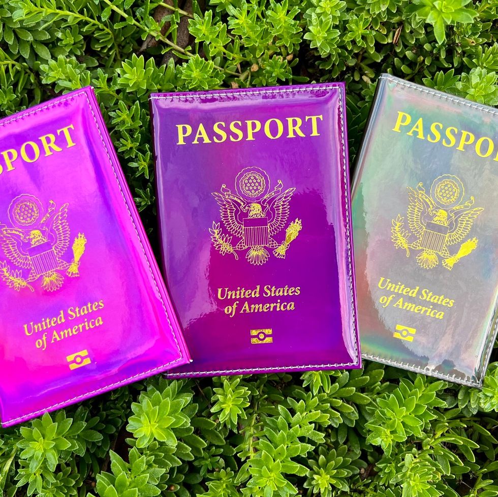 Holographic Passport Holder