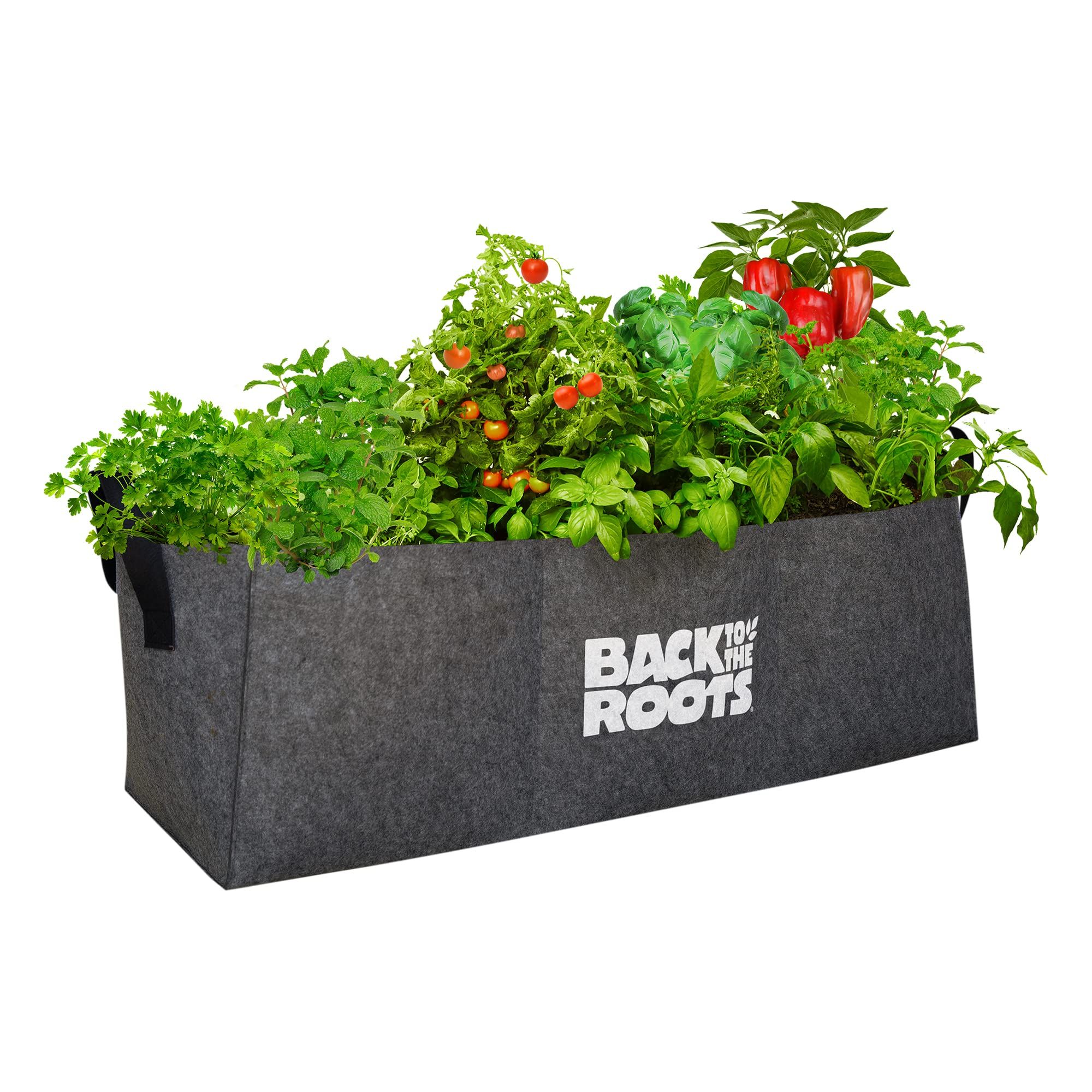 13 Best Raised Garden Beds For Plants Flowers And Vegetables 2024   1685056520 819nDUdCweL 