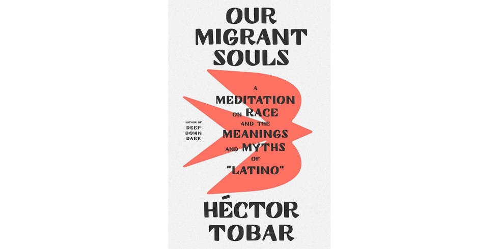 <I>OUR MIGRANT SOULS: A MEDITATION ON RACE AND THE MEANINGS AND MYTHS OF "LATINO,"</I> BY HÉCTOR TOBAR