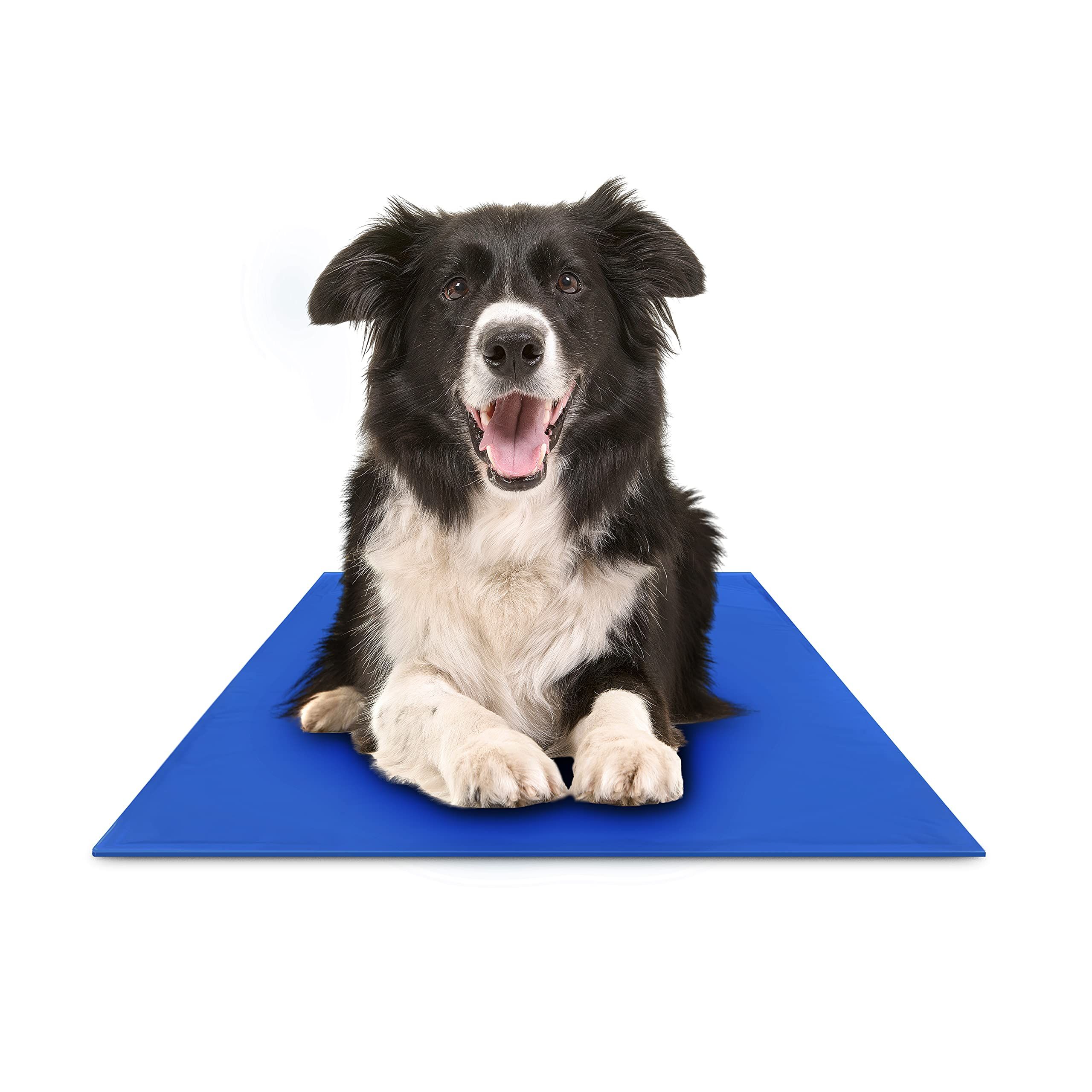 Bed bath and on sale beyond dog cooling mat