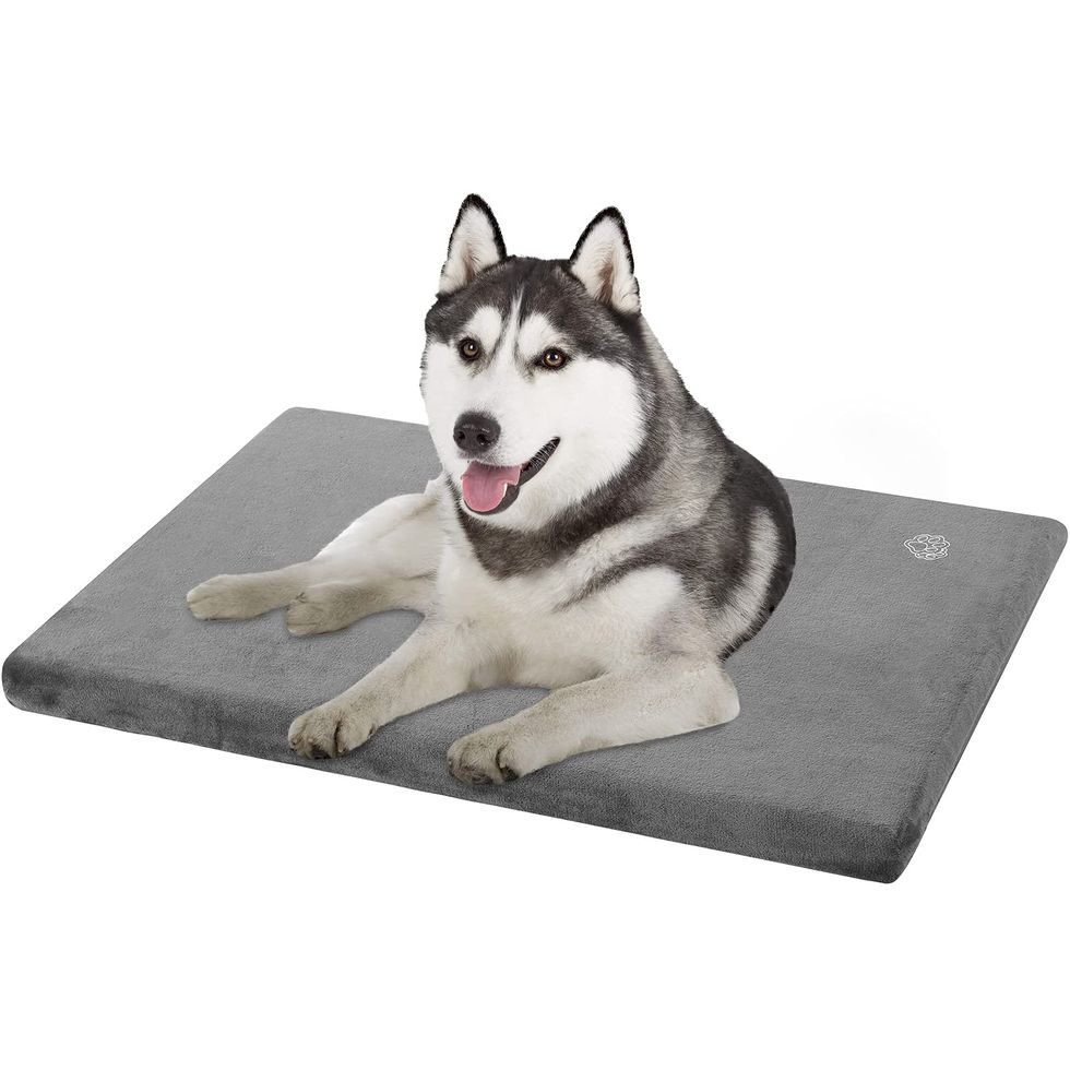 Stylish Dog Bed Mat