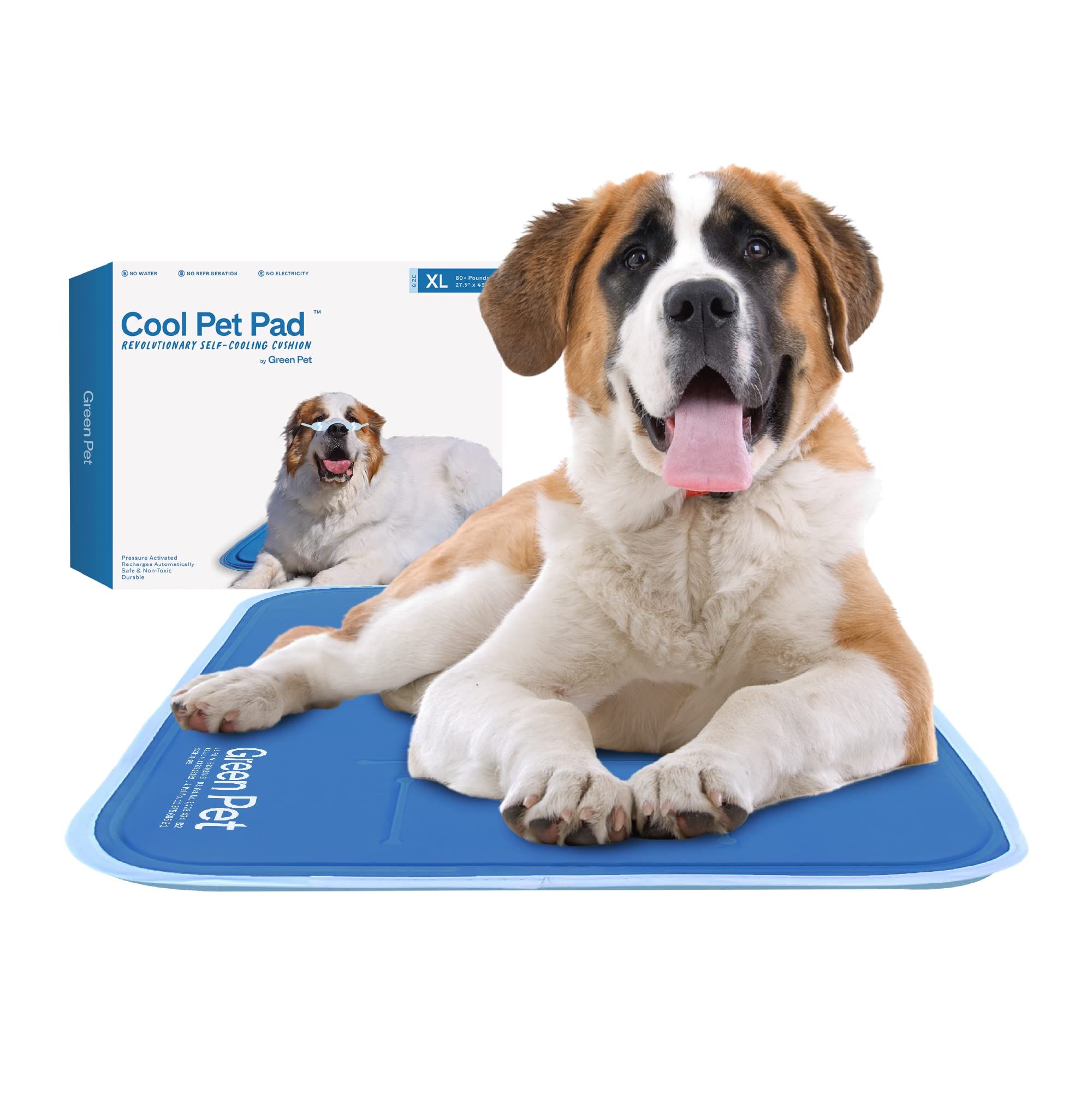 Dog bed clearance with cooling pad