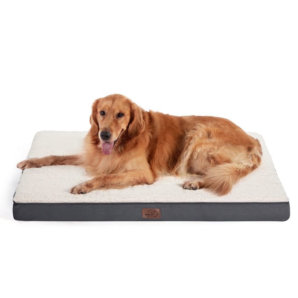 Orthopedic Dog Bed for Dogs Up to 100 Lbs