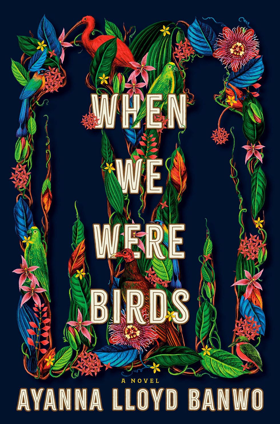 <i>When We Were Birds</i>, by Ayanna Lloyd Banwo