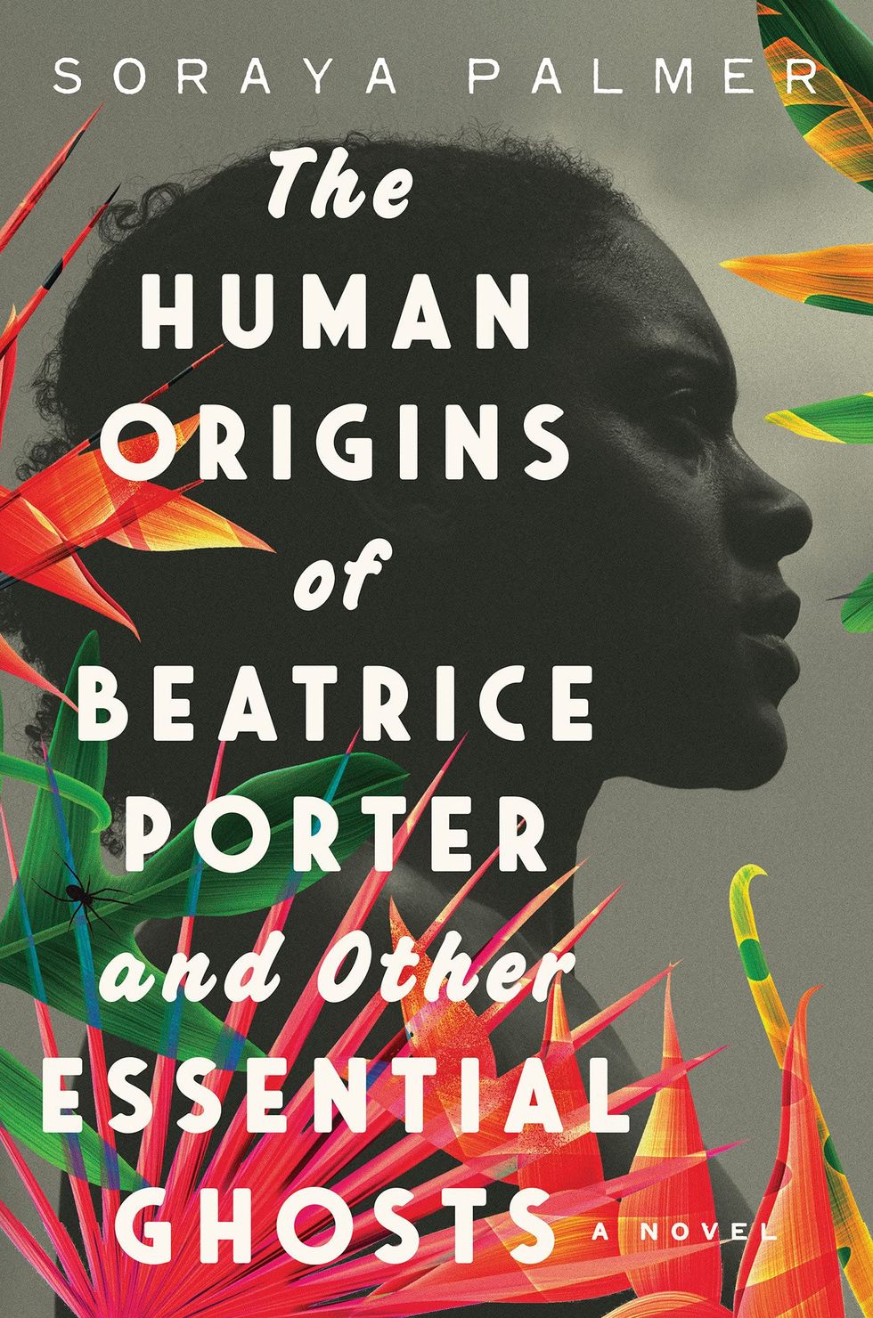 <i>The Human Origins of Beatrice Porter and Other Essential Ghosts</i>, by Soraya Palmer