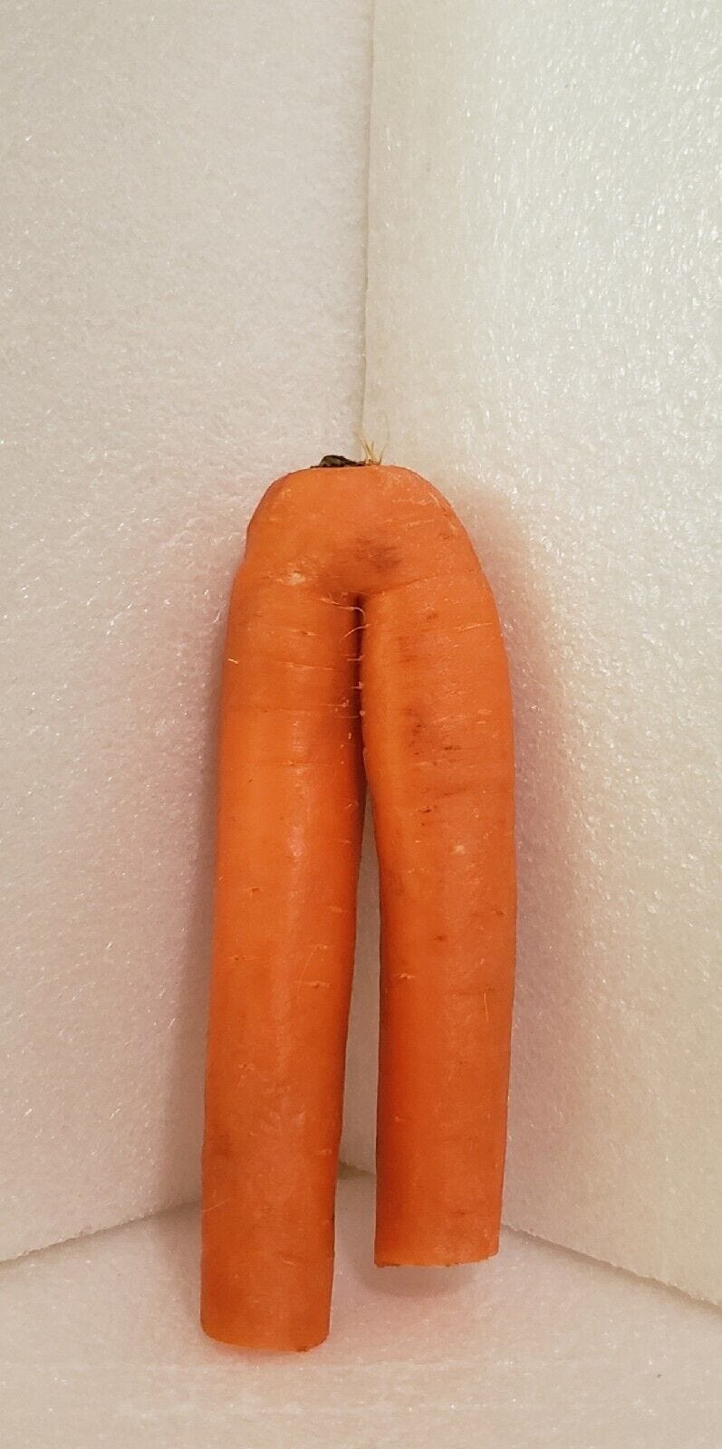 Carrot Pants
