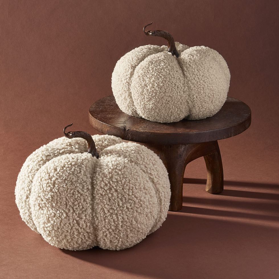 Sherpa Fabric Pumpkins for Decorating (Set of 2)
