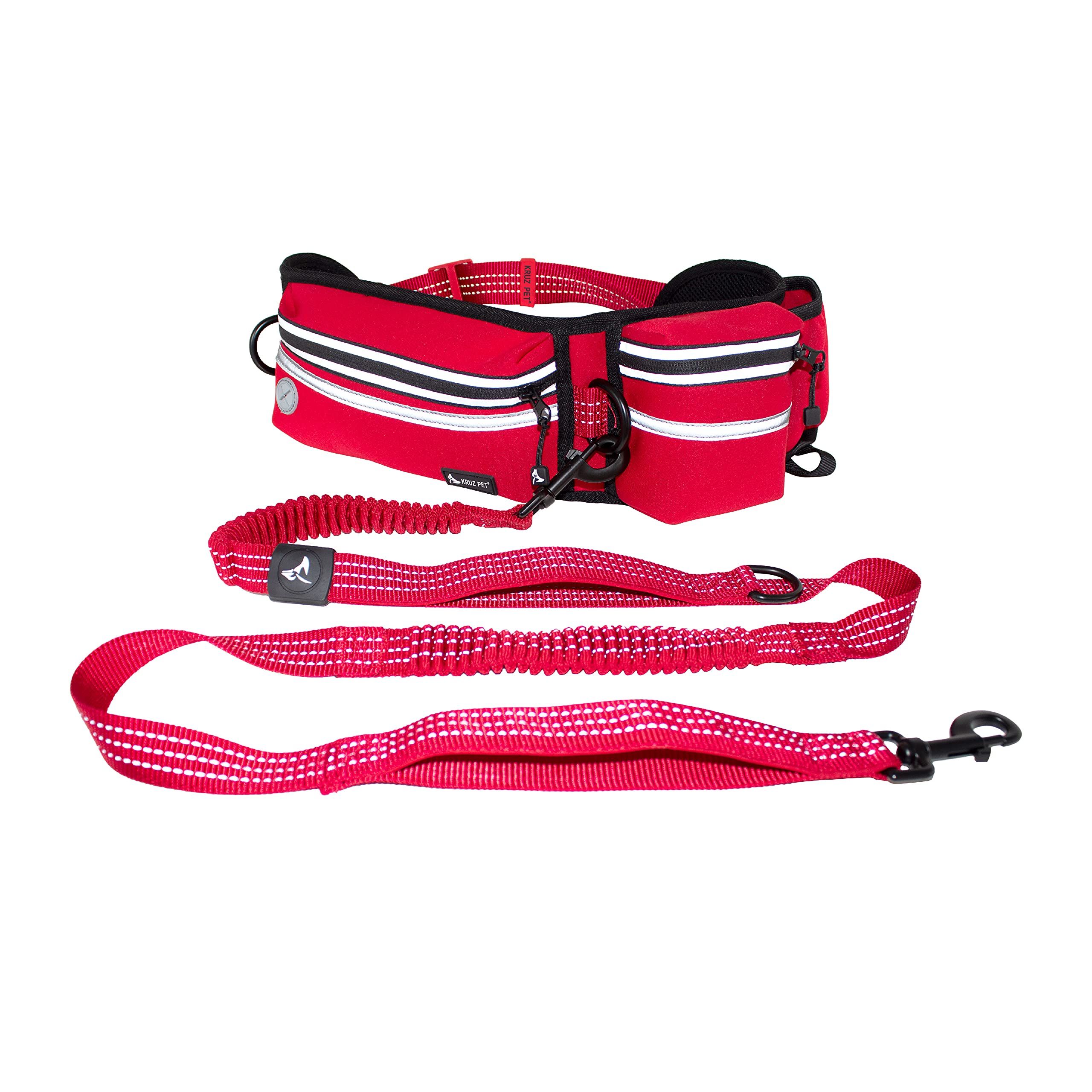 Best leash for running with clearance dog