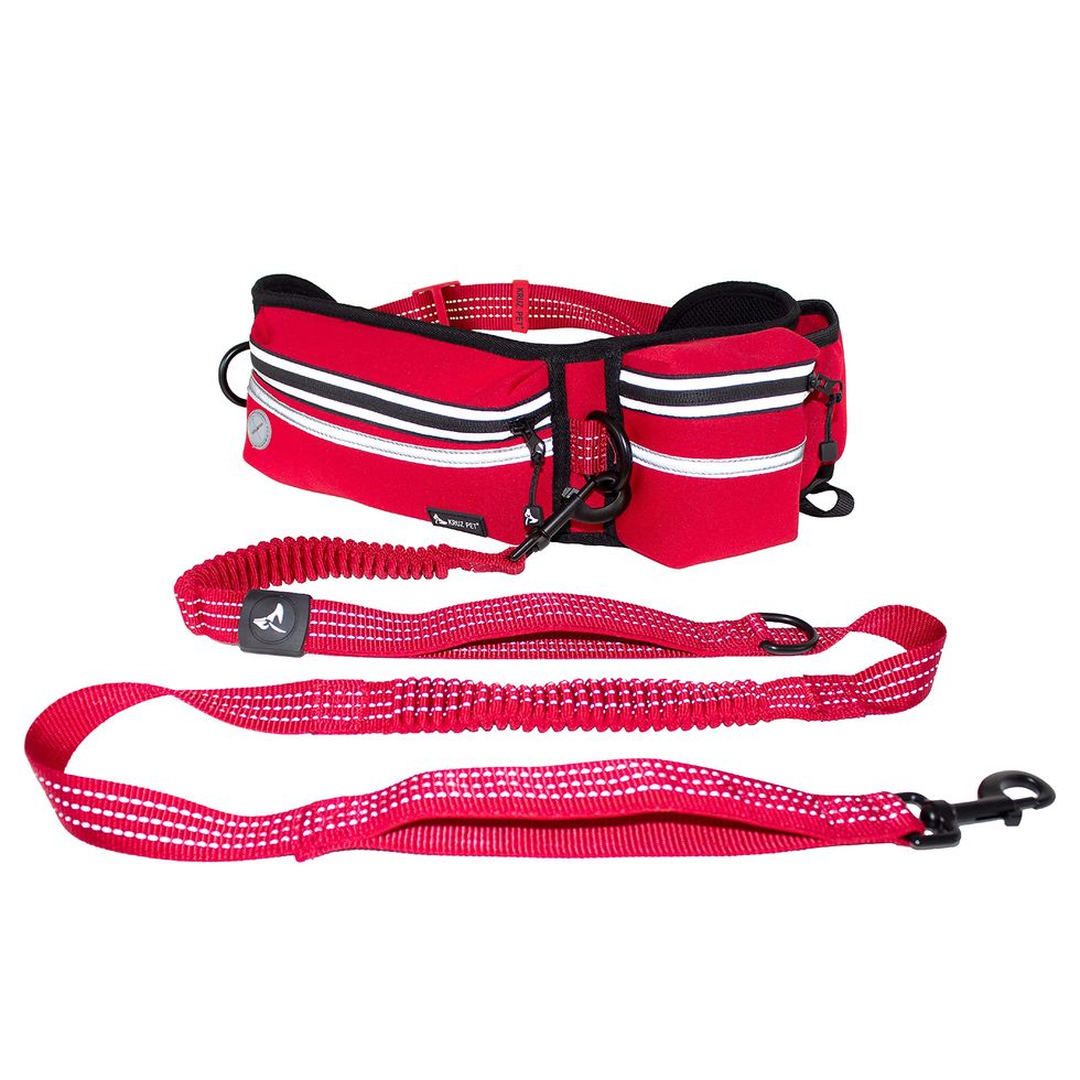 Exclusive Dog Harness  Hands-free, Safe Dog Harness and Leash