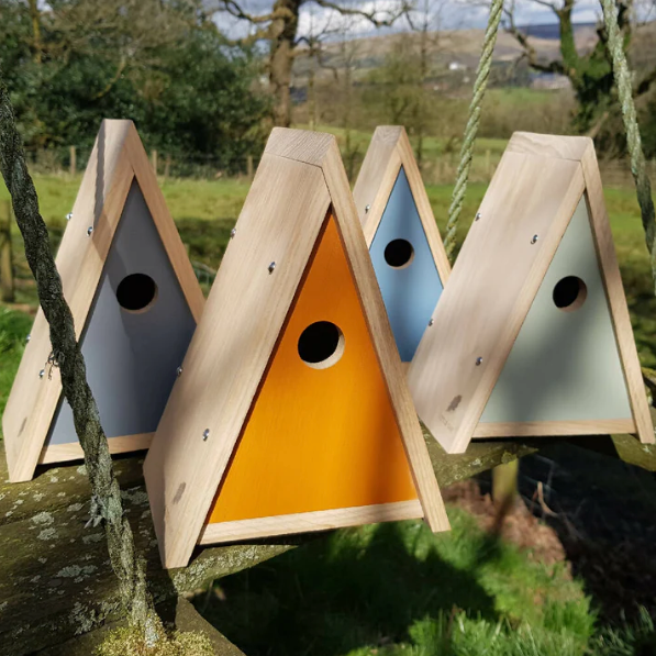 Painted Oak Bird Box