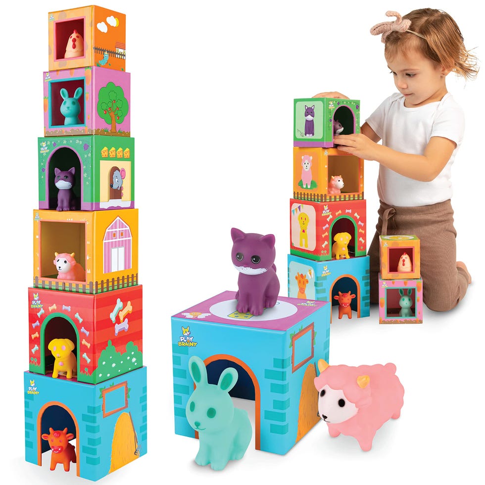 Farm Animal Sorting and Stacking Toys
