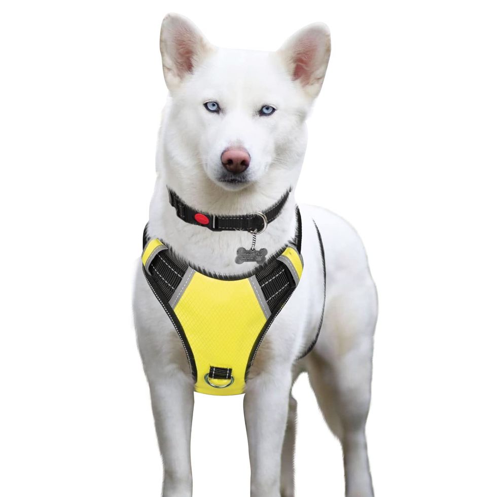 OneTigris Service Dog Safety Vest, Tactical Reflective Dog Harness with No  Pull D-Ring & Handle, High-Visibility Lightweight Suit for Search and