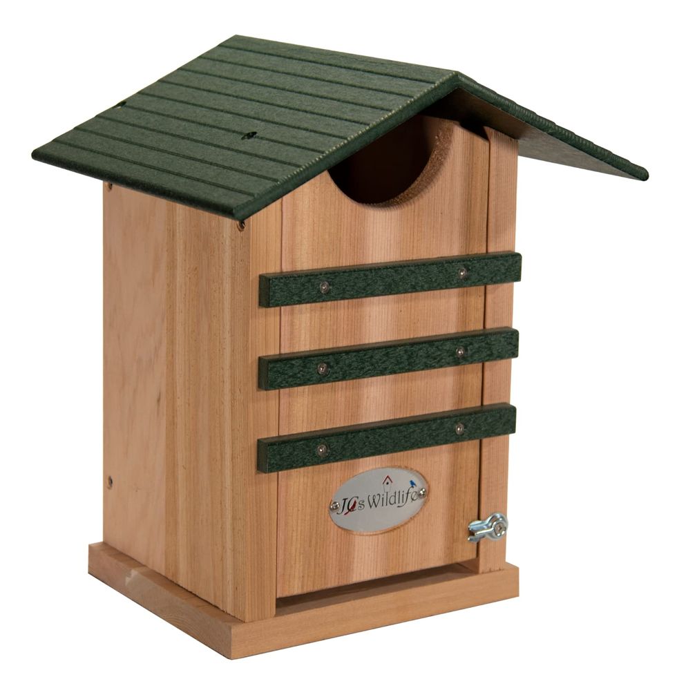 Screech Owl Cedar Nesting Box