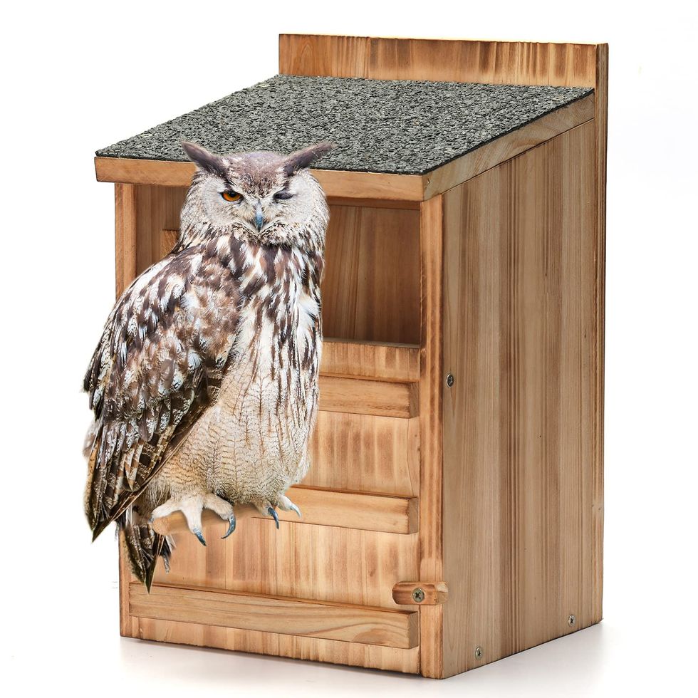 Owl House with Bird Stand