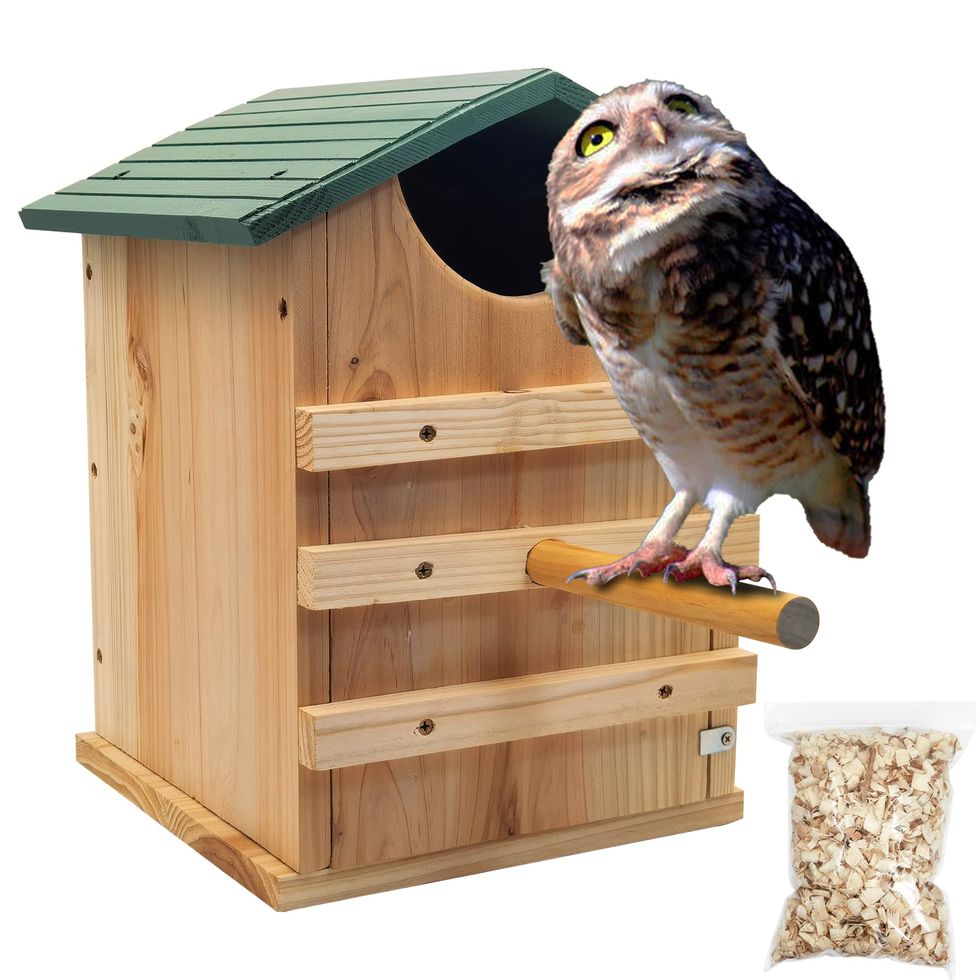 Cedar Wood Owl Box with Bird Stand