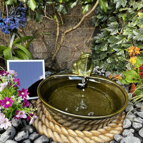 Tranquility Frog Solar Water Feature 