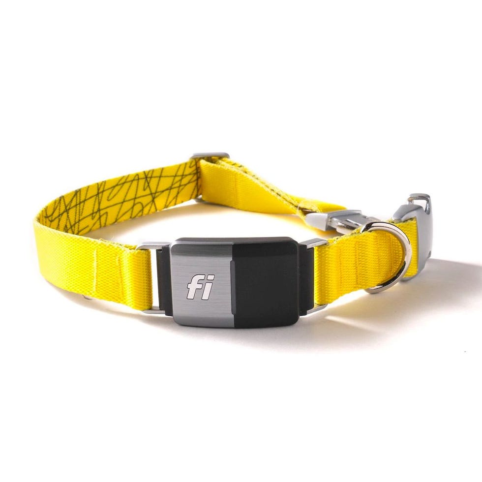 Series 2 GPS Tracker Smart Dog Collar