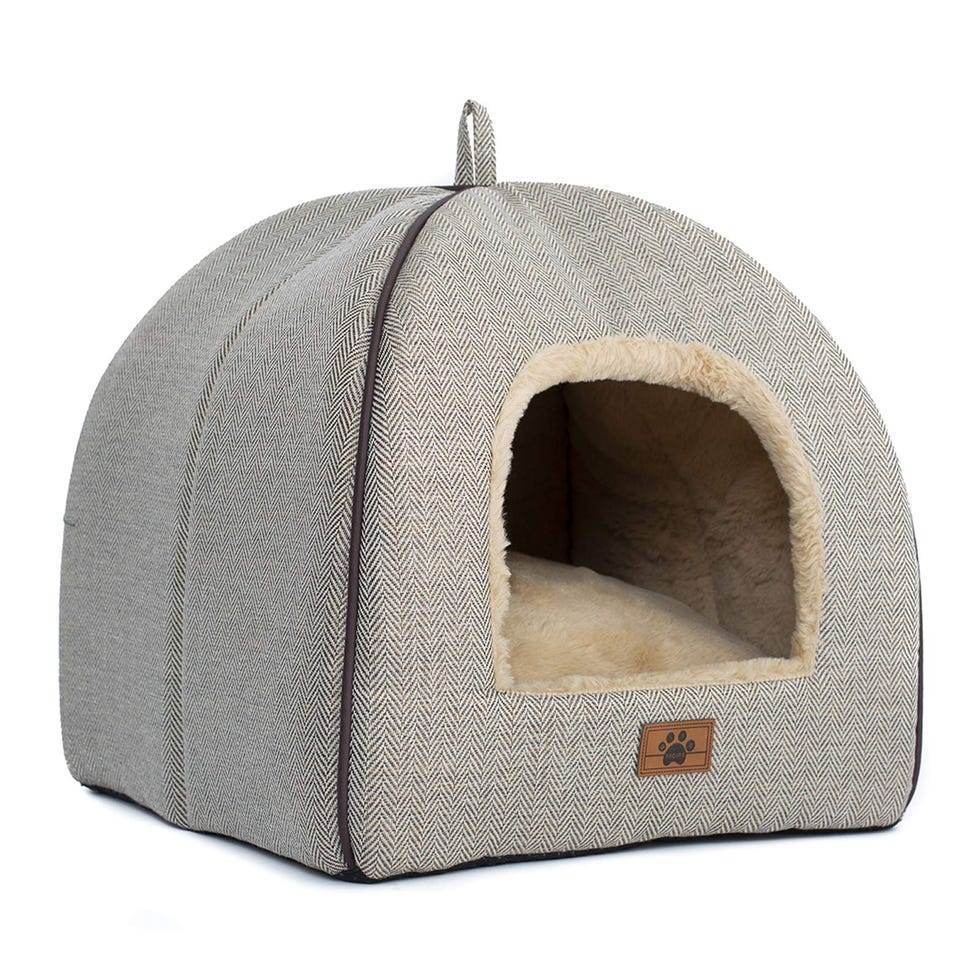 Cama para perro