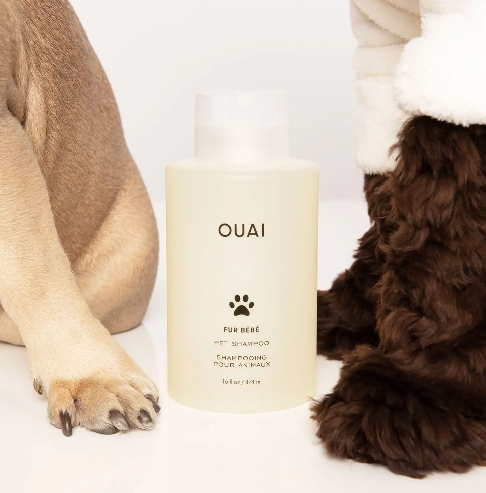 Most expensive dog shampoo sale