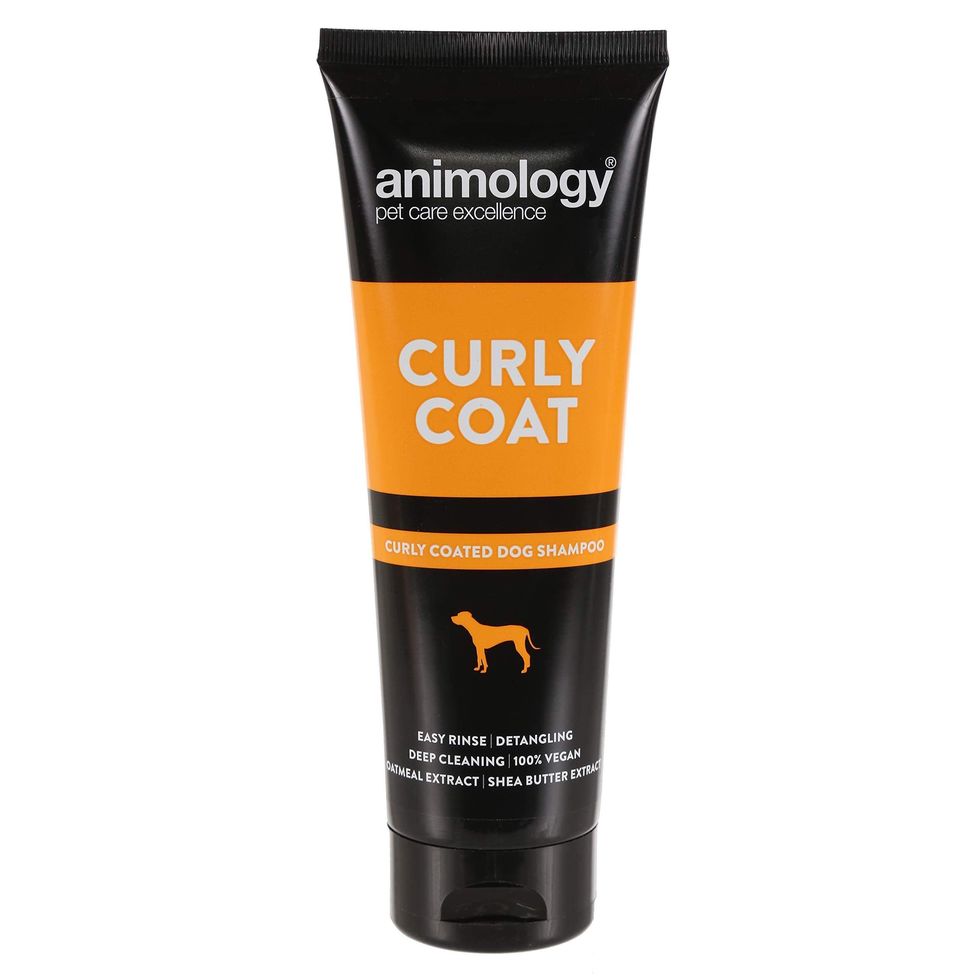 Curly Coat Dog Shampoo