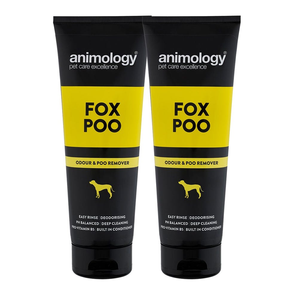 Fox Poo Deodorising Dog Shampoo