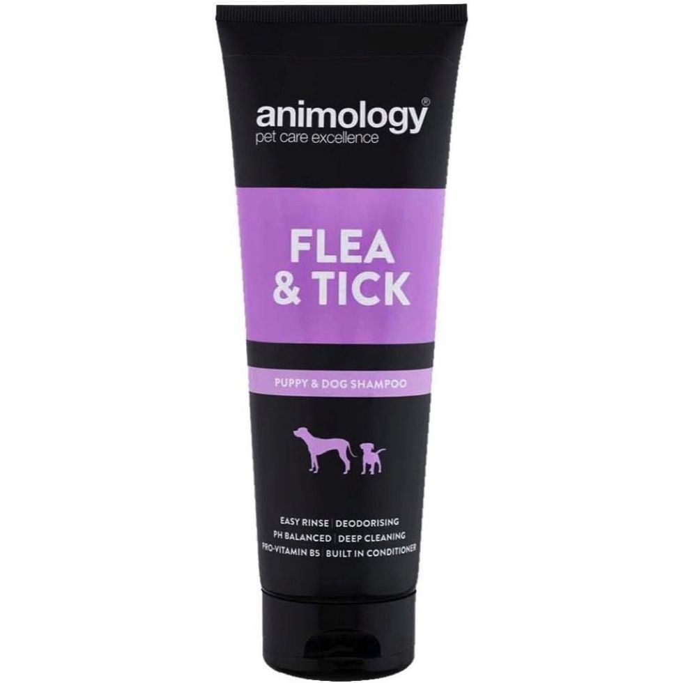 Flea & Tick Dog Shampoo