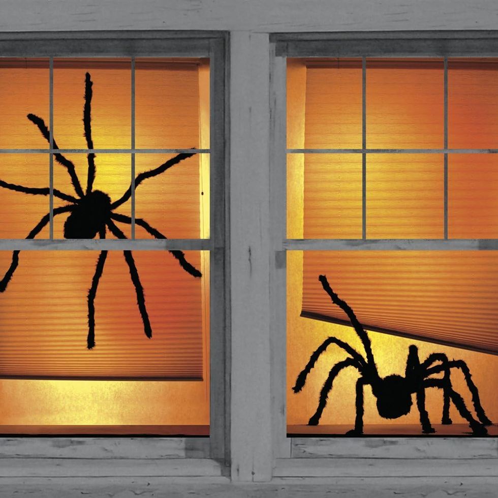 Shady Spiders Window Posters