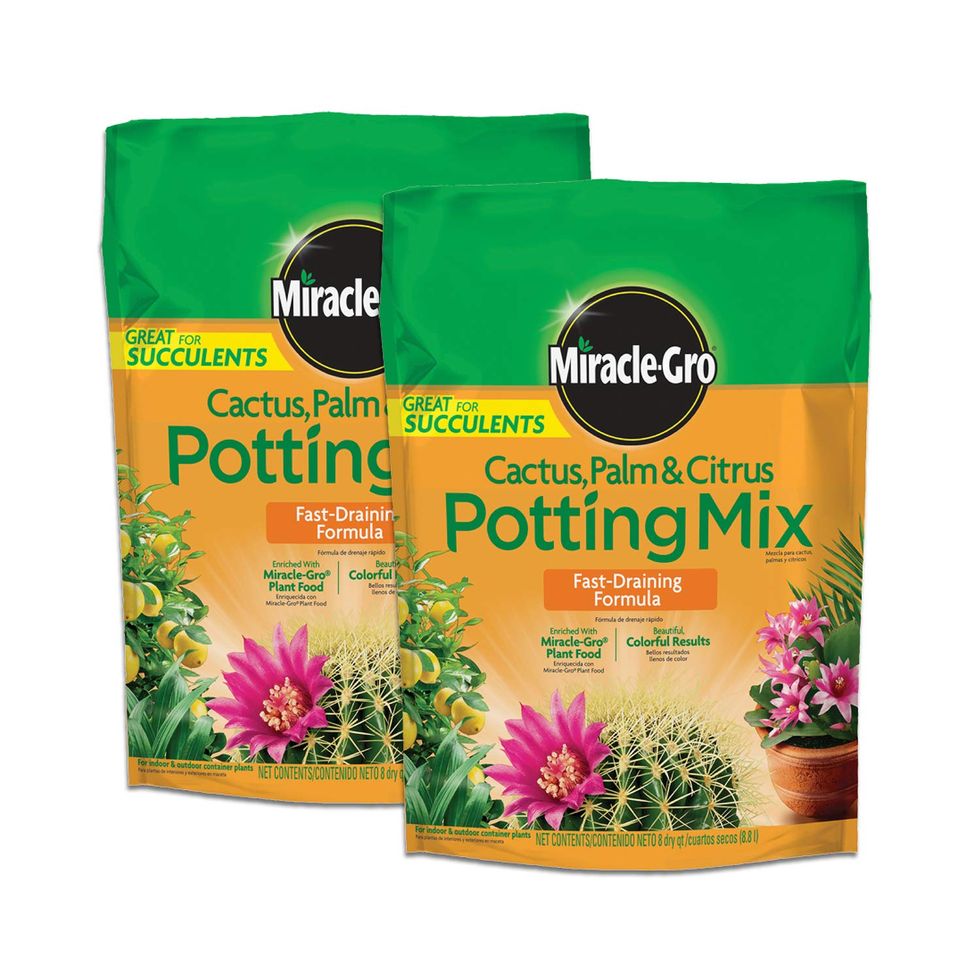 Cactus Potting Mix, 2-Pack