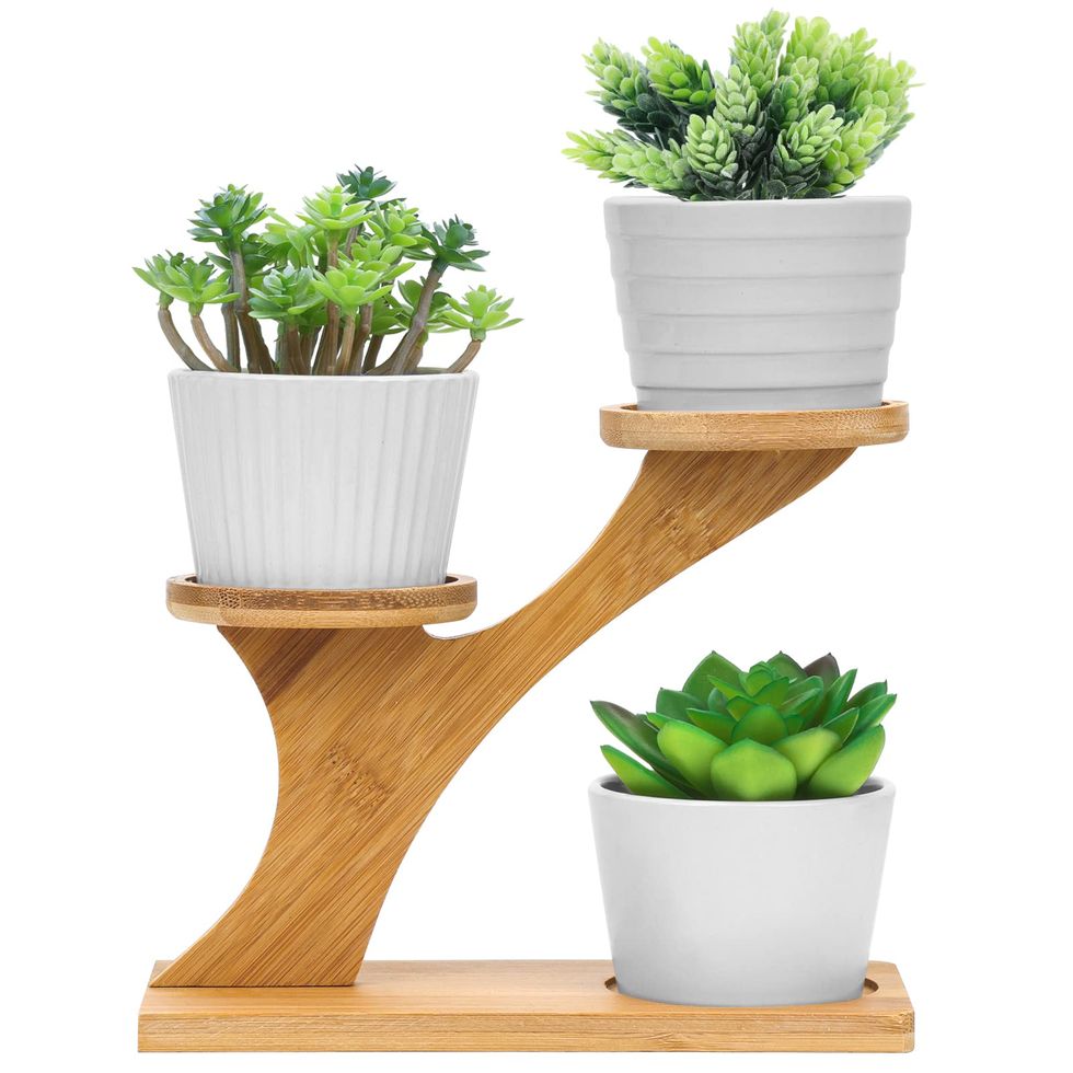 Succulent Pot Display Stand with Pots
