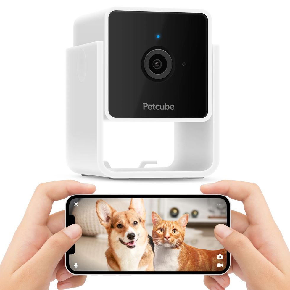 Cam Indoor Wi-Fi Pet and Security Camera