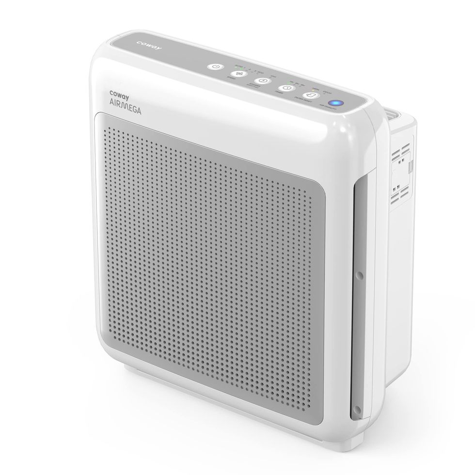 Best Air Purifier Deals: Discounts on HEPA Purifiers From LG, Coway,  Blueair, Dyson and More - CNET