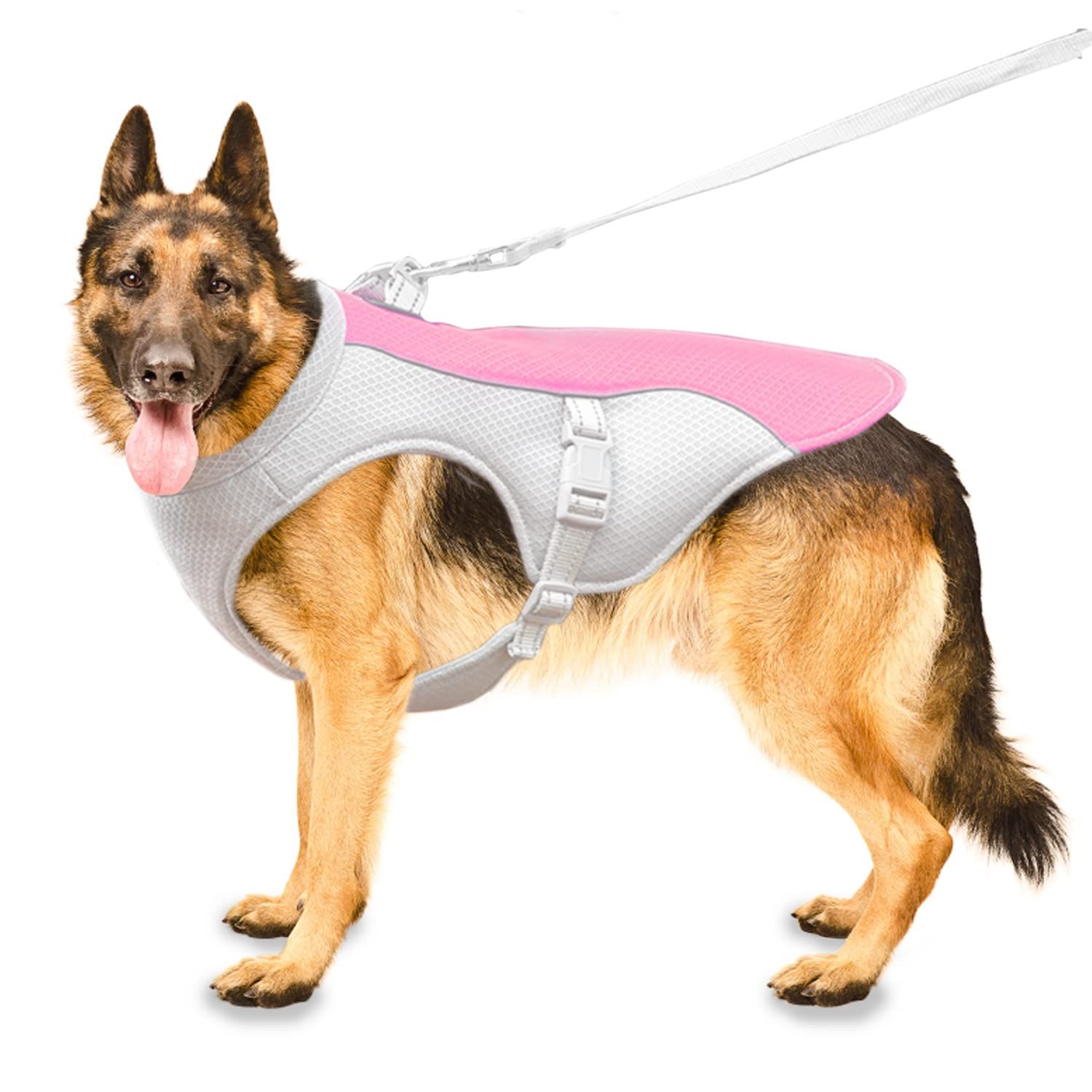 Dog cooling sales jacket uk