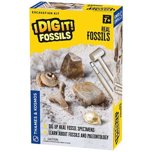 I Dig It! Kit de Escavação de Fósseis