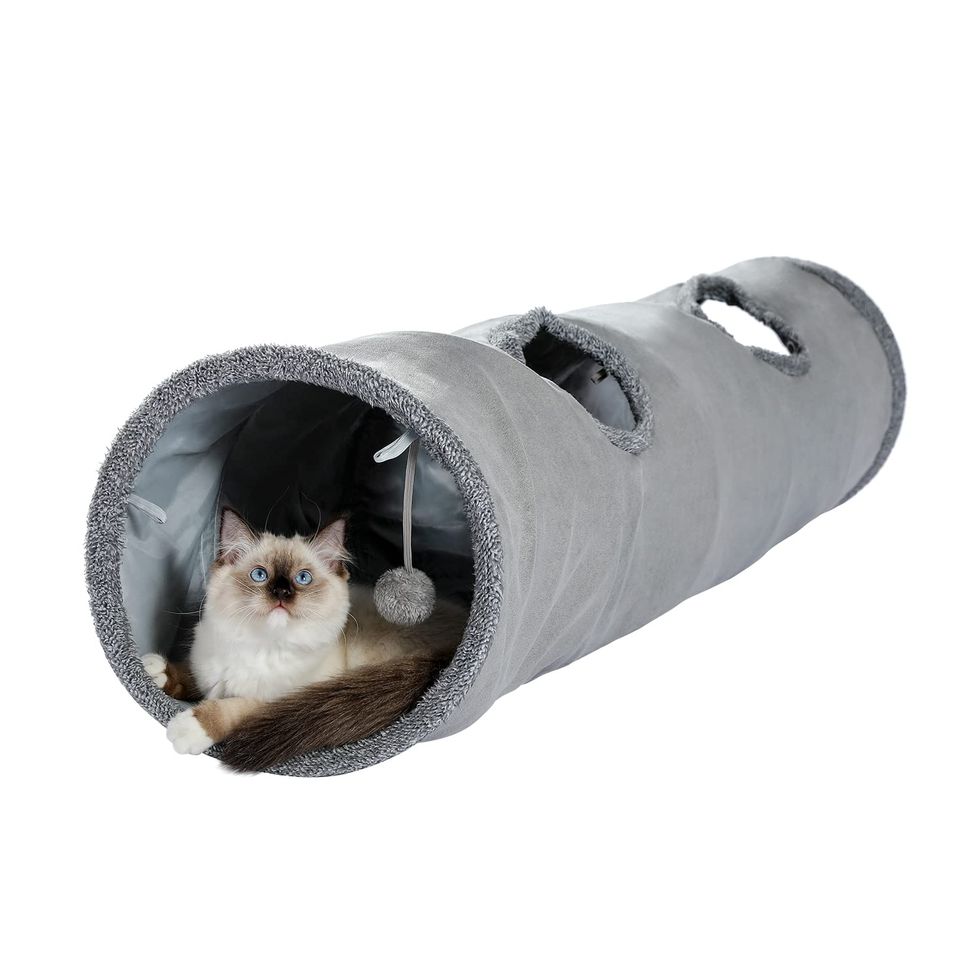 Collapsible Cat Tunnel 