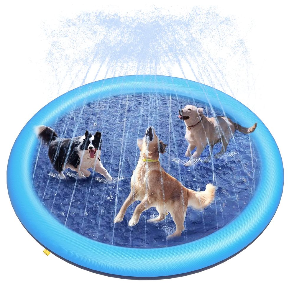 Dog Splash Pad 