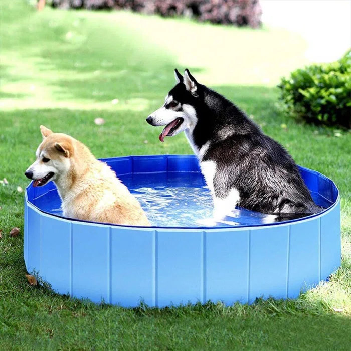 Pet Swimming Pool 