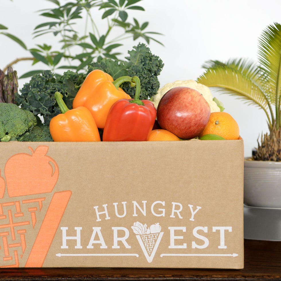 Hungry Harvest