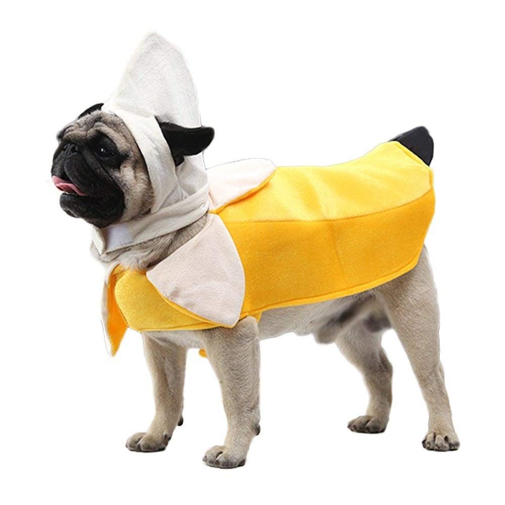 Dogs dressed clearance in halloween costumes