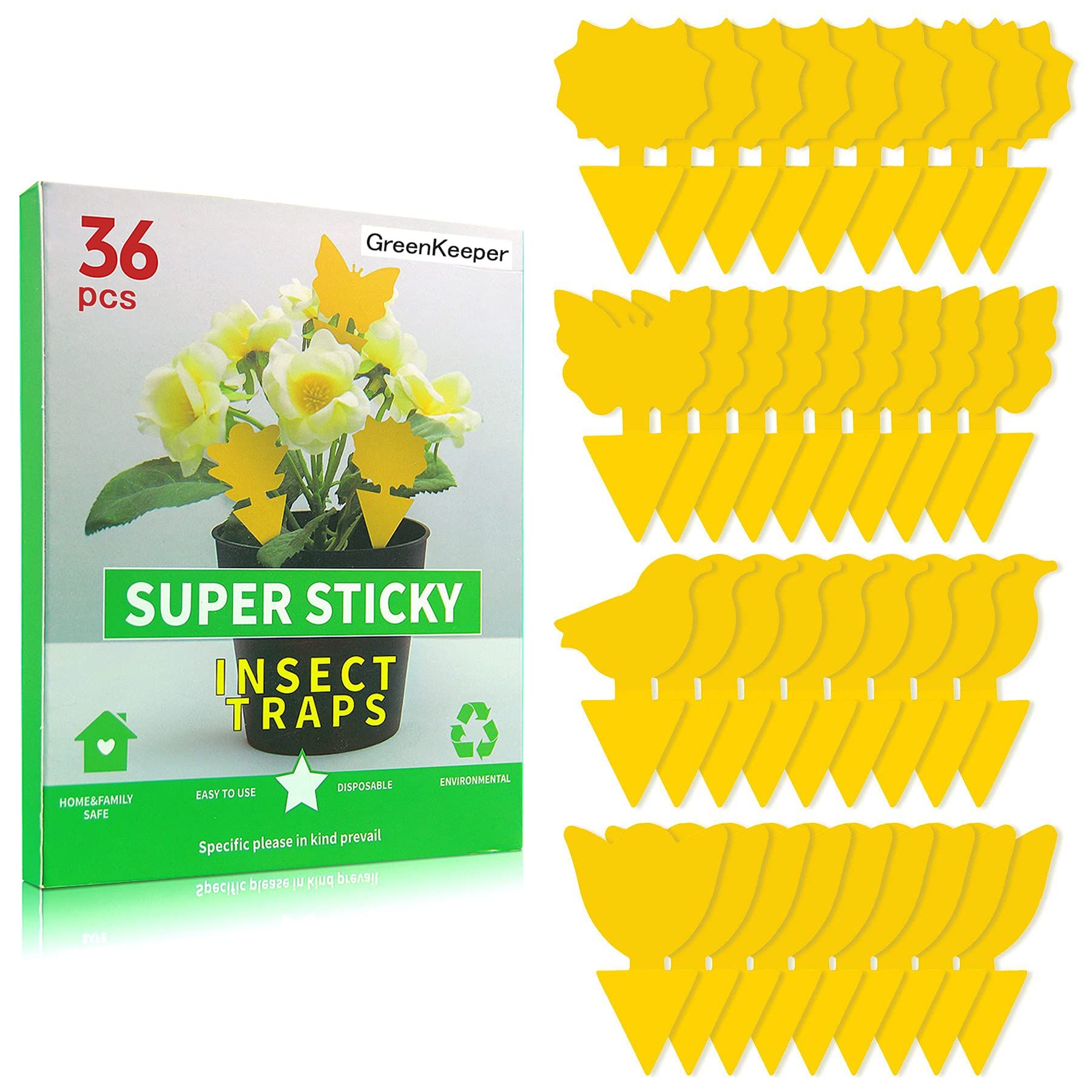36 Pack Sticky Traps Plant Trap for Fungus Gnat, Fruit Fly Traps for  Mosquito and Bug Indoor & Outdoor, Pest Insect Catcher Killer 